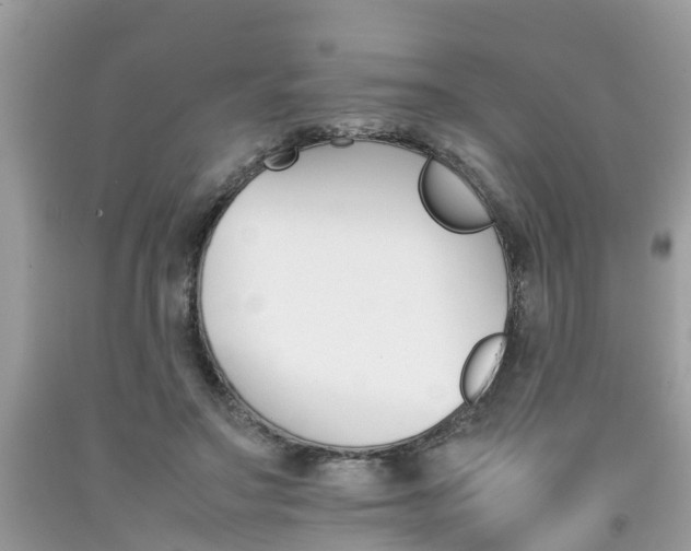 X0000092050499200709191124