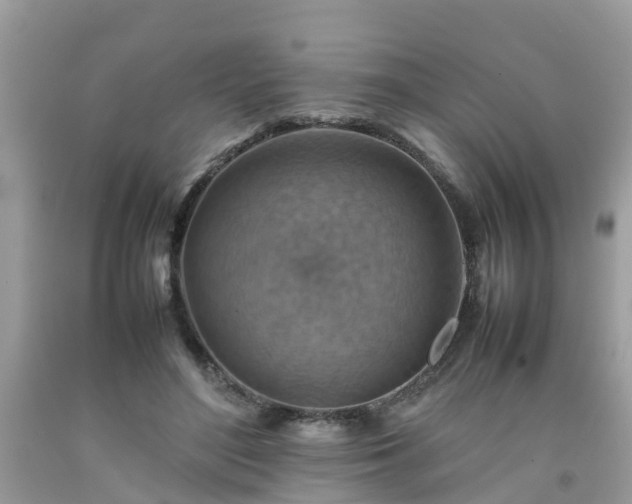 X0000092050500200709191124