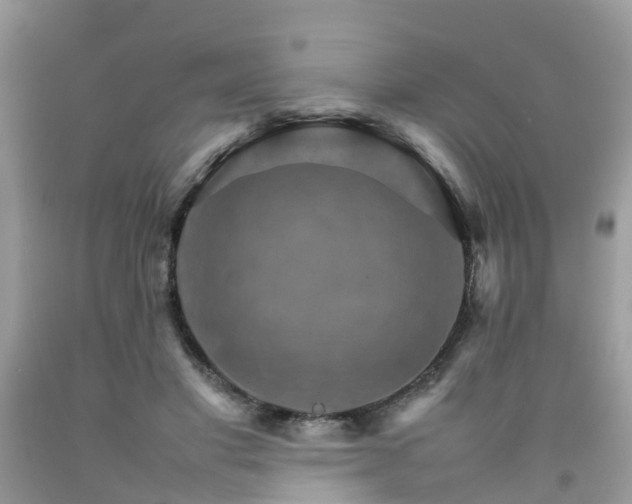 X0000092050501200709191124