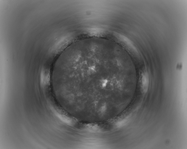 X0000092050502200709191124