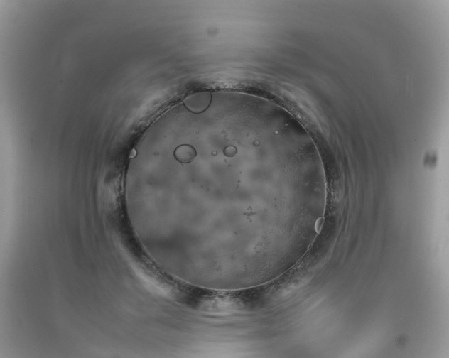 X0000092050503200709191124