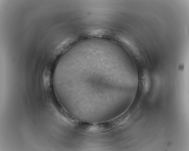 X0000092050504200709191124