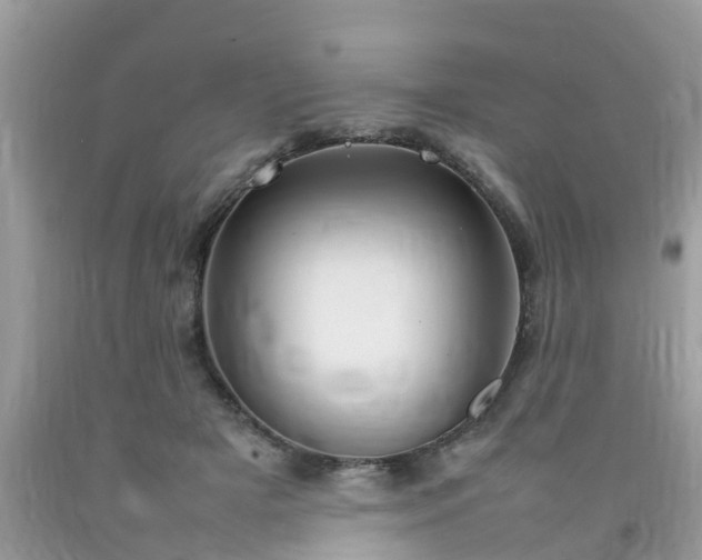 X0000092050505200709191124