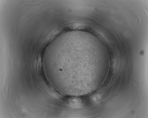 X0000092050506200709191124