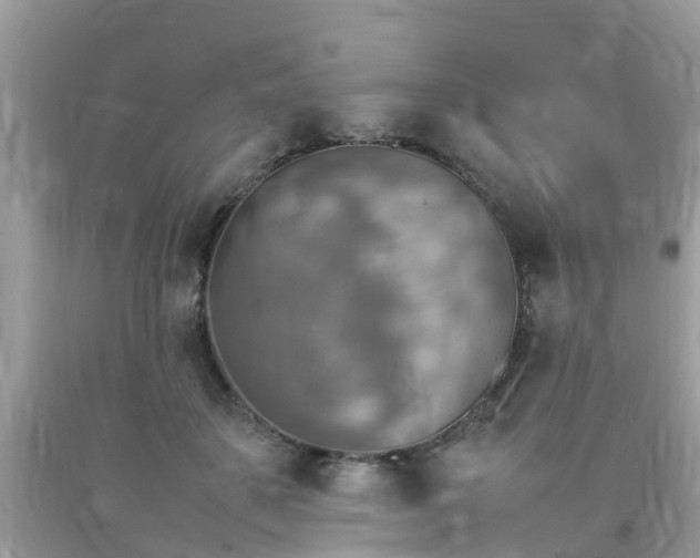 X0000092050507200709191124