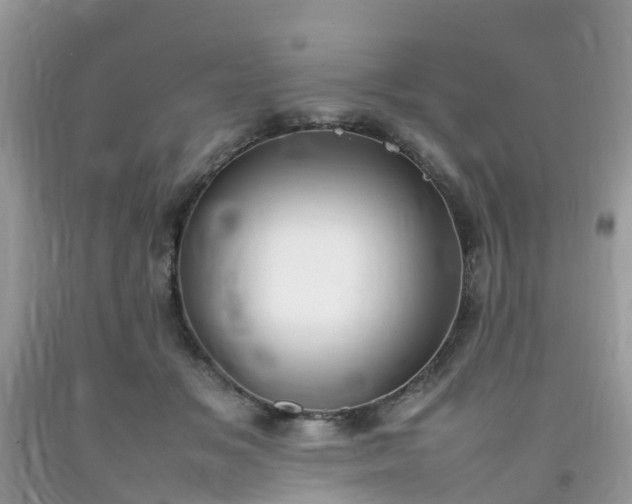 X0000092050509200709191124