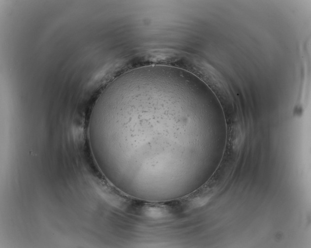 X0000092050510200709191124