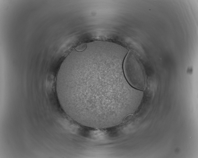 X0000092050511200709191123