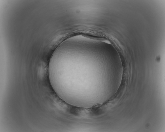 X0000092050513200709191123