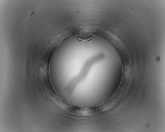 X0000092050514200709191123