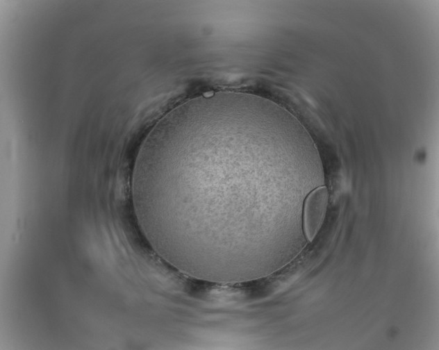 X0000092050515200709191123