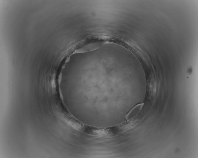 X0000092050516200709191123