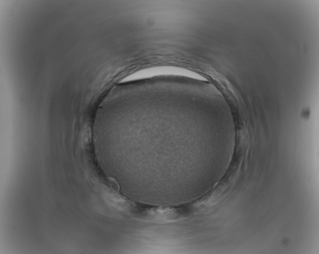 X0000092050517200709191123