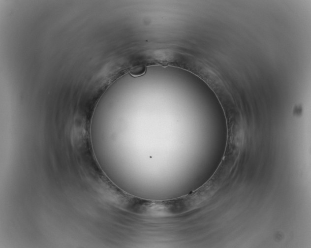 X0000092050518200709191123