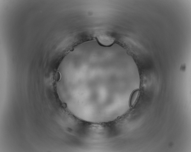 X0000092050519200709191123