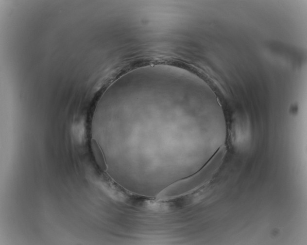 X0000092050520200709191123