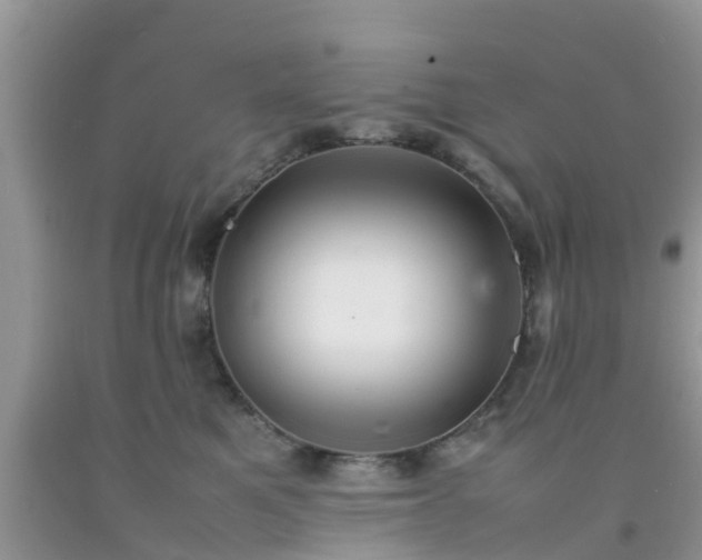 X0000092050521200709191123