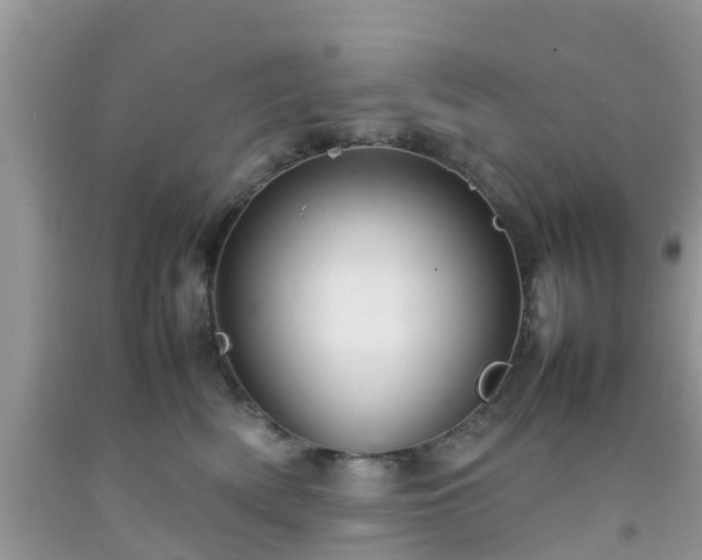 X0000092050522200709191123