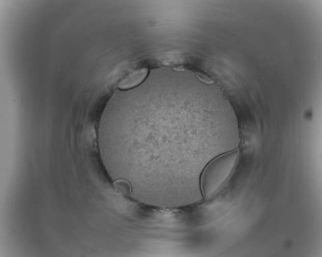 X0000092050523200709191123