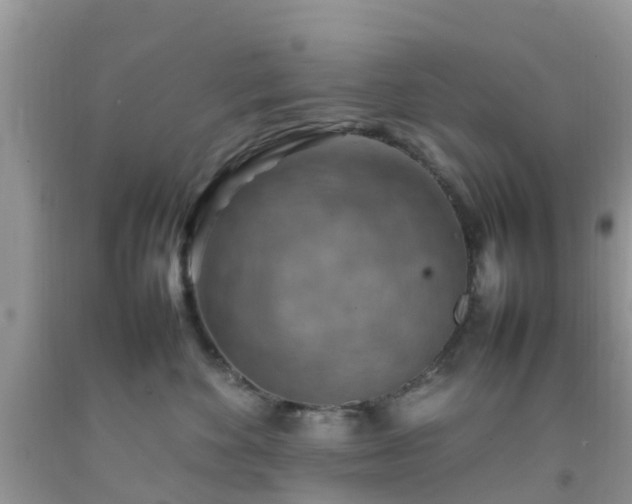 X0000092050524200709191123