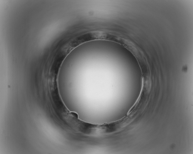 X0000092050525200709191123