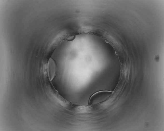 X0000092050526200709191123