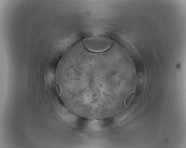 X0000092050527200709191123