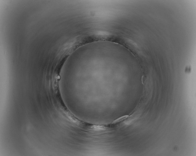 X0000092050528200709191123