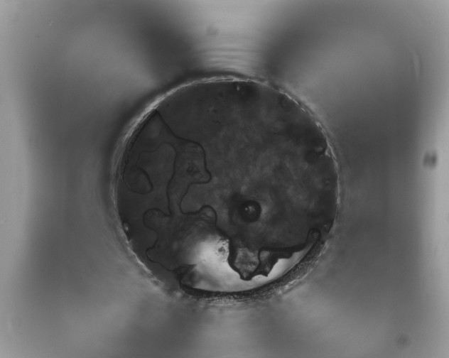 X0000092050529200709191123