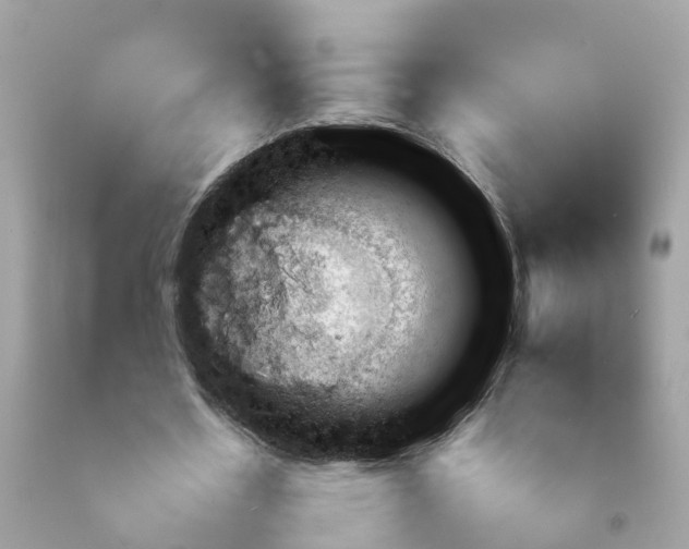 X0000092050530200709191123