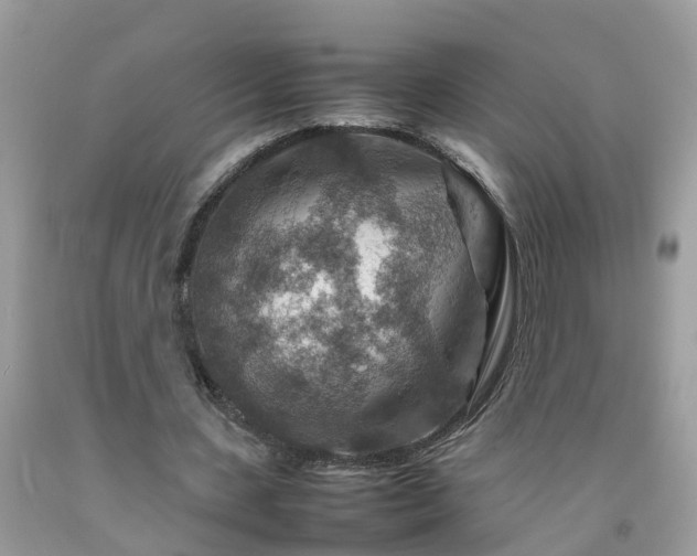 X0000092050531200709191123