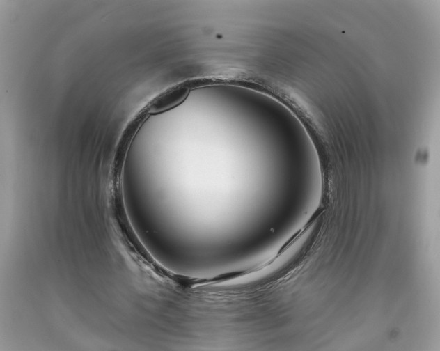 X0000092050532200709191123