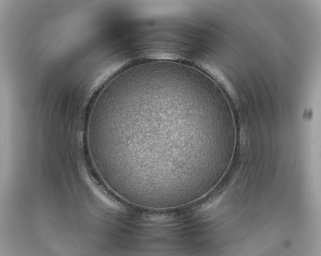 X0000092050533200709191123