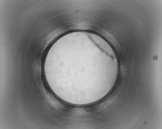 X0000092050534200709191123