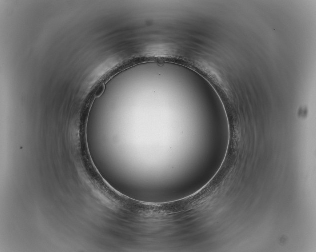 X0000092050535200709191123