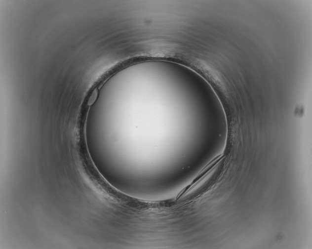 X0000092050536200709191123