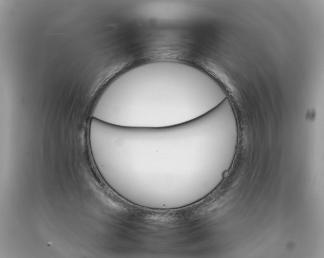 X0000092050537200709191123