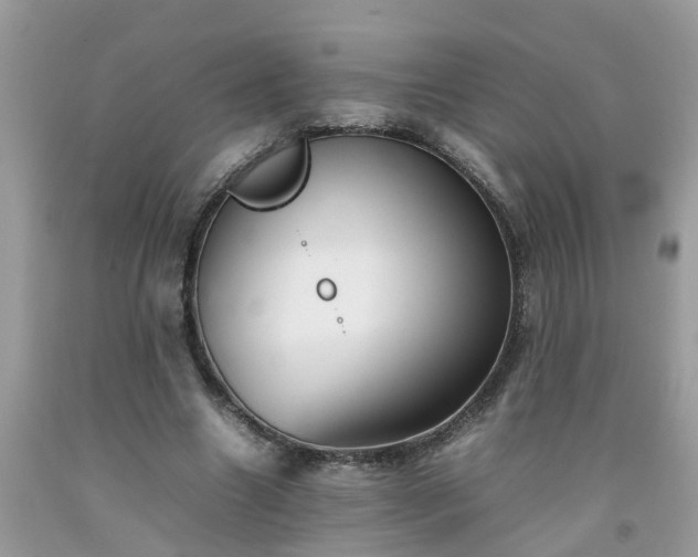 X0000092050538200709191123