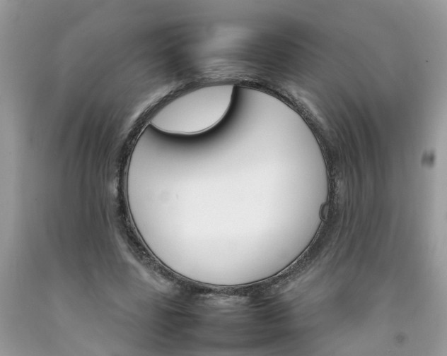 X0000092050539200709191123