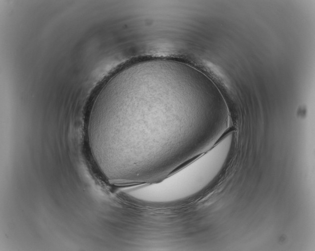 X0000092050540200709191123