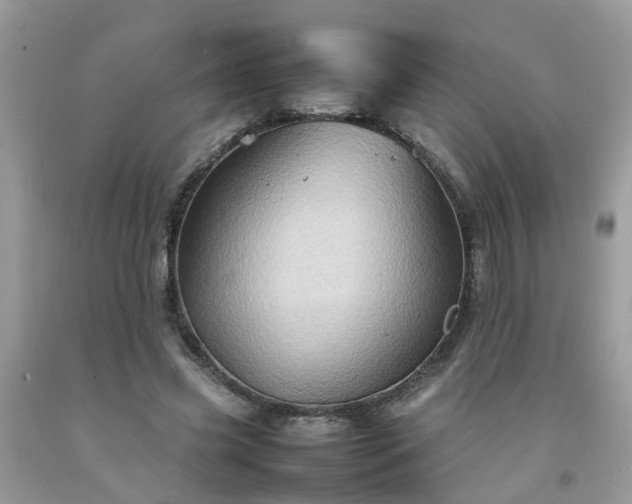 X0000092050541200709191123