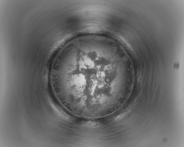 X0000092050542200709191123