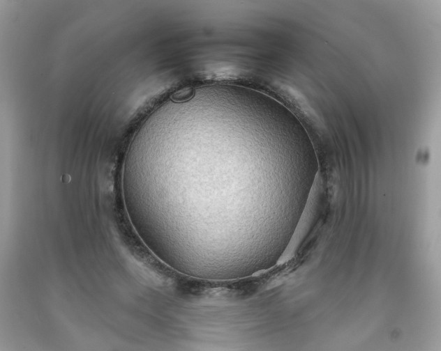 X0000092050543200709191123