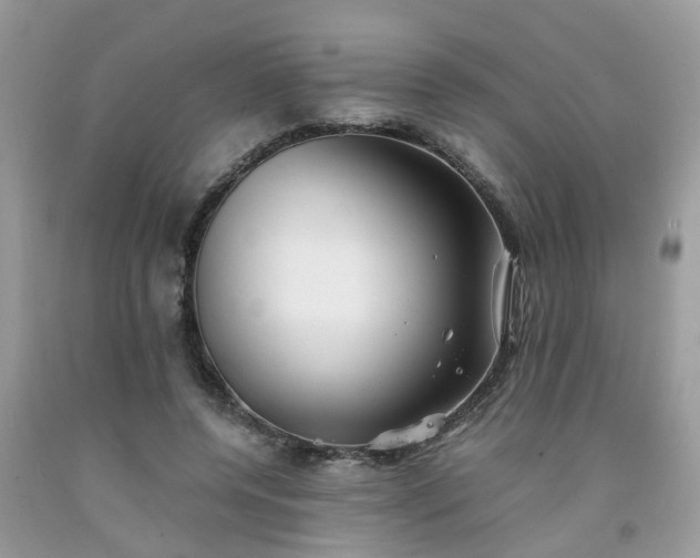 X0000092050544200709191123