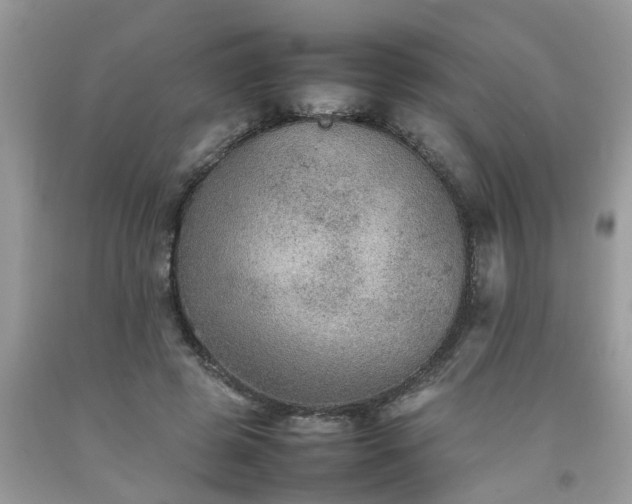 X0000092050545200709191123