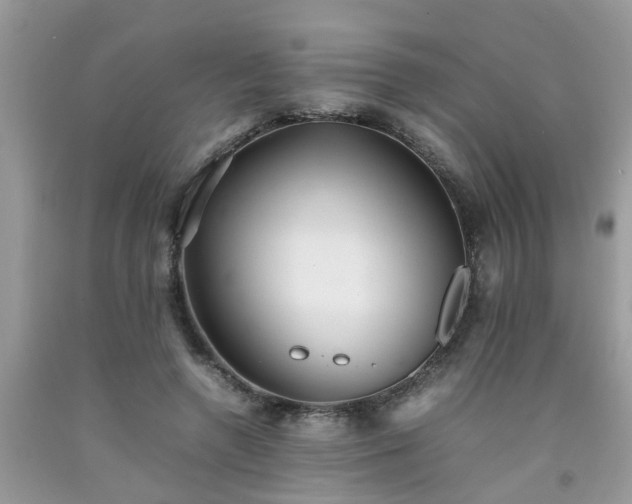 X0000092050546200709191123