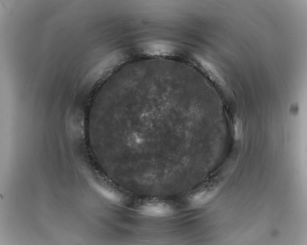 X0000092050547200709191123