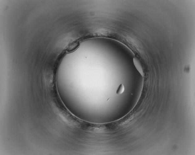 X0000092050548200709191123