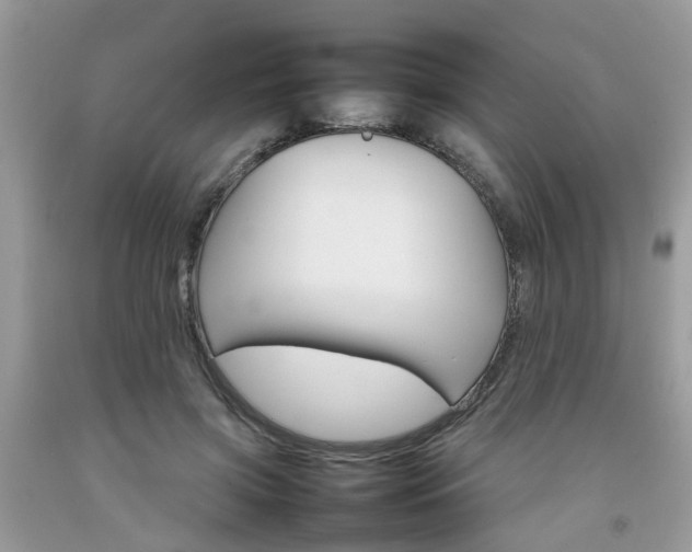 X0000092050549200709191123