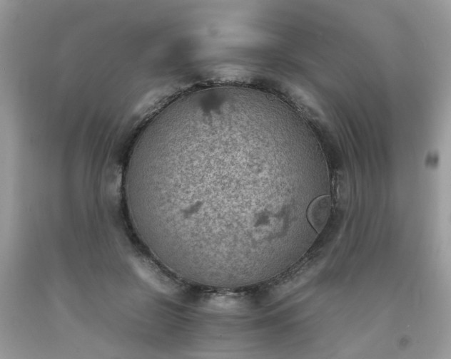 X0000092050550200709191123